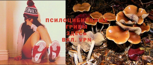 шишки Володарск