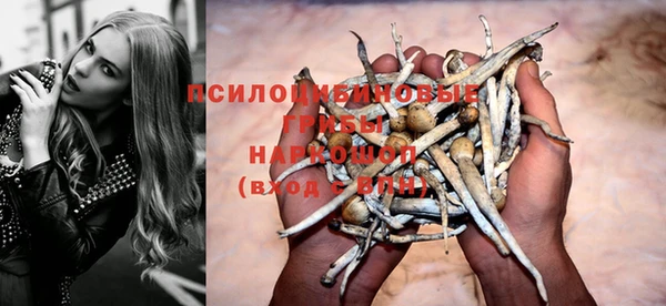 гидропоника Волоколамск